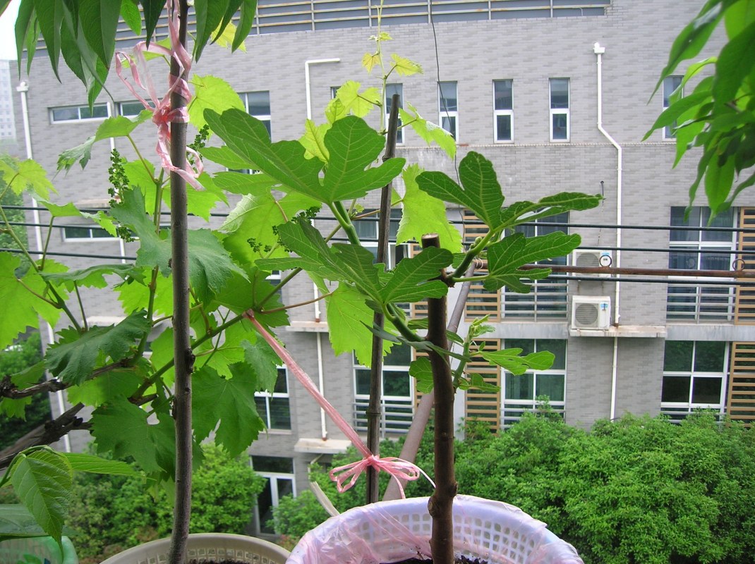 DSCN1664.JPG