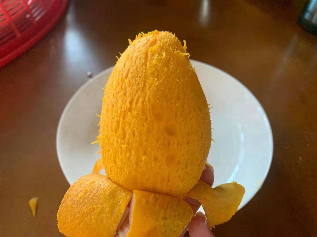 â