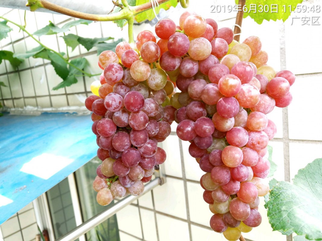 QQͼƬ20190630144712.jpg
