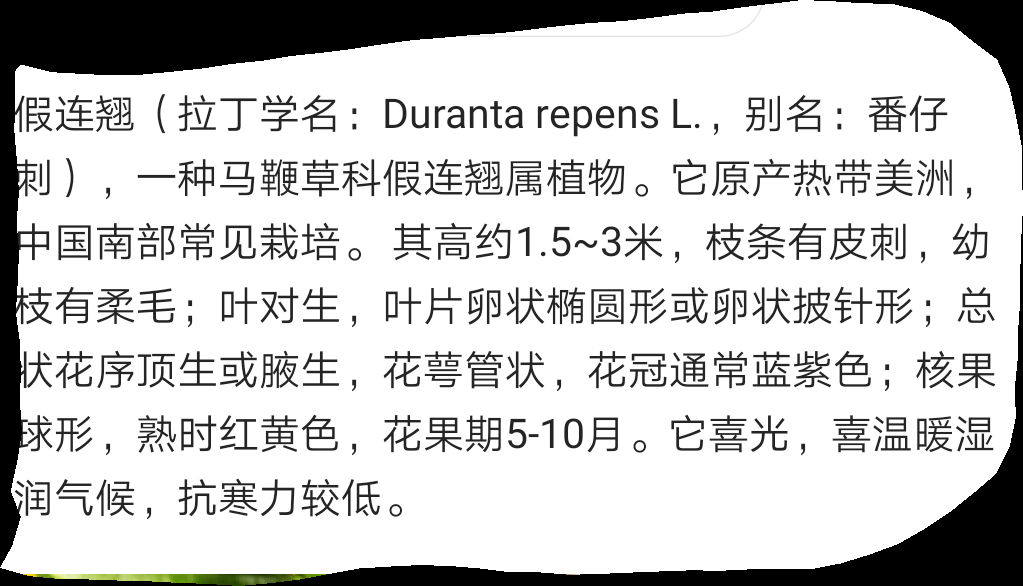 Screenshot_20210507_114824_com.tencent.mtt.png