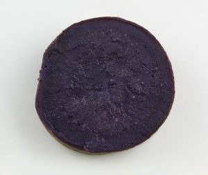 fuku-murasaki-cut_adj_s-300x253.jpg