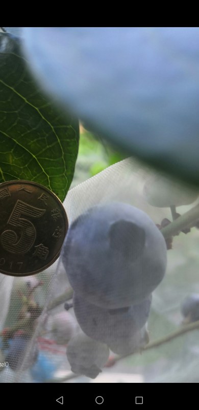3ժڼ-Ƚ-00.jpg