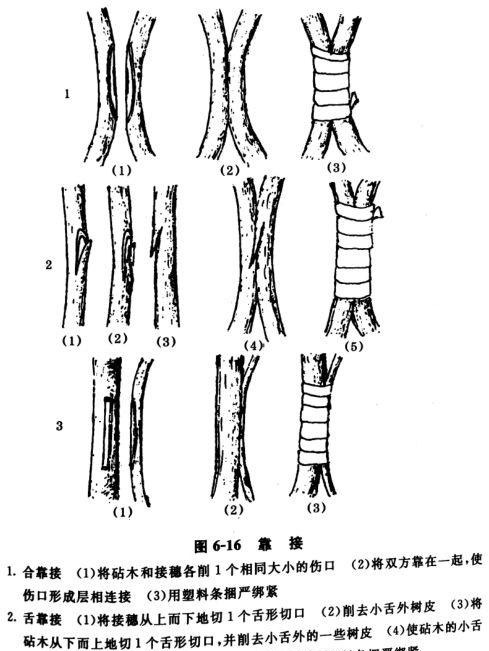 t01e5b987fd84303dd7.jpg