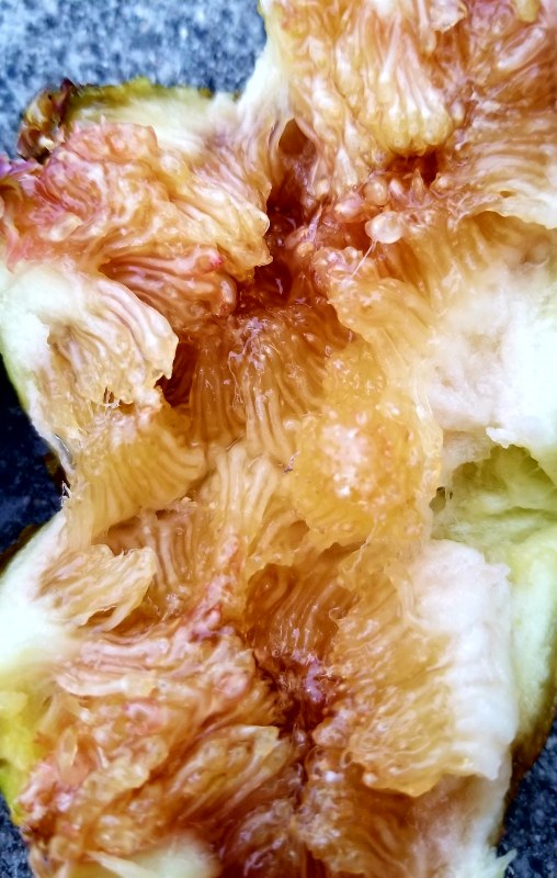 20190620_202033.jpg