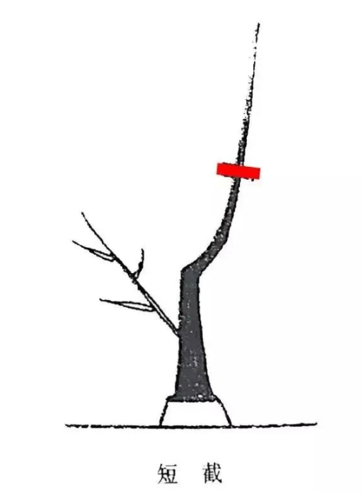 42.png