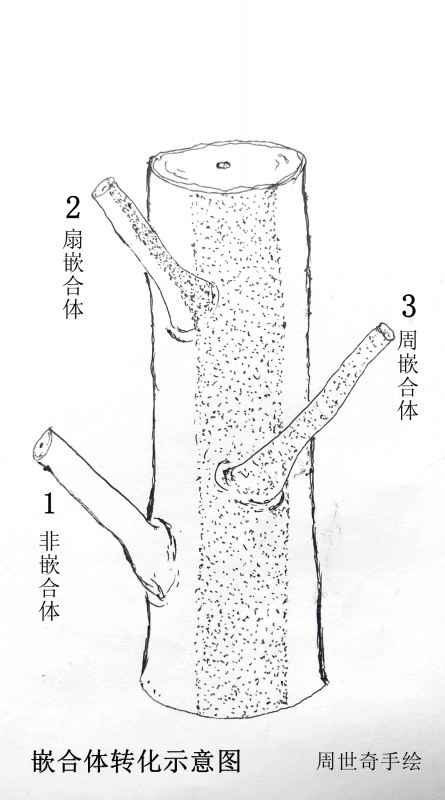 ѿ䣩Ƕתʾͼ.jpg