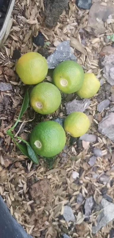 ΢ͼƬ_20210607142134.jpg