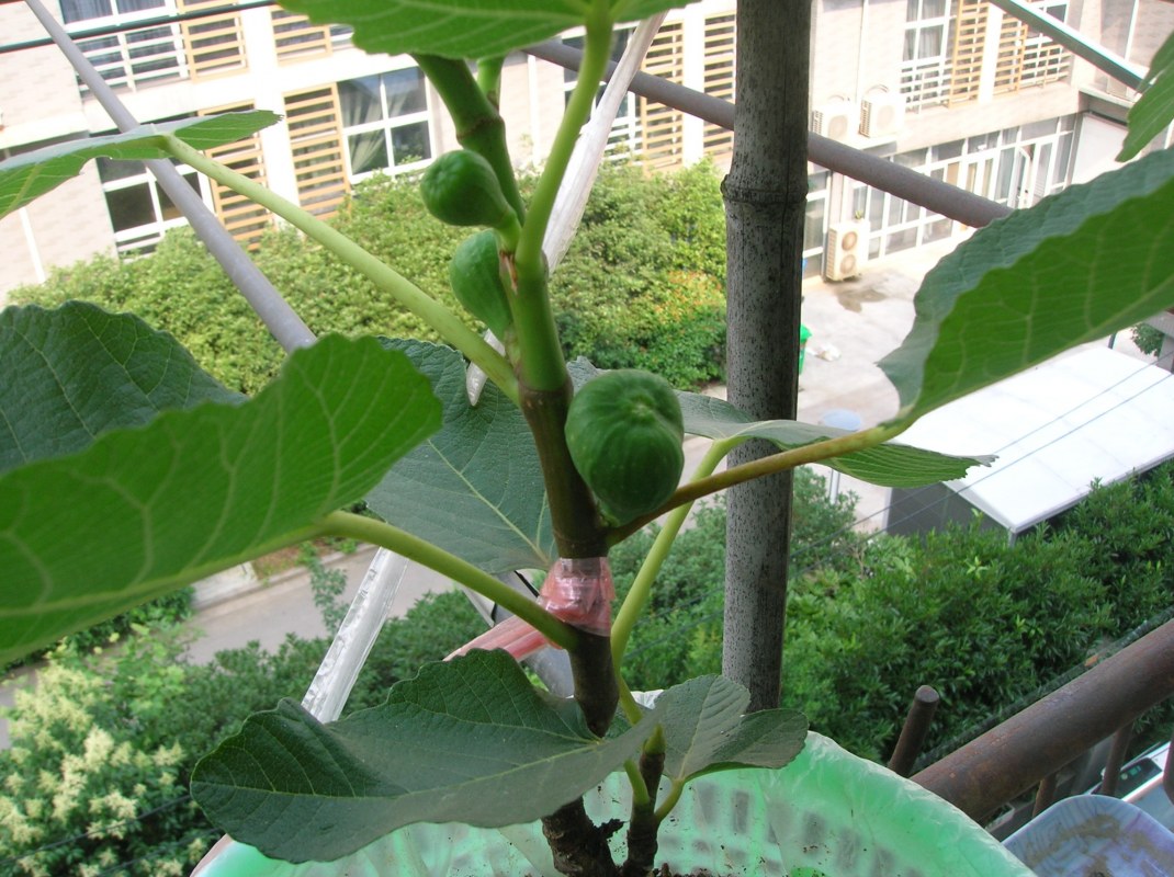 DSCN1708.JPG