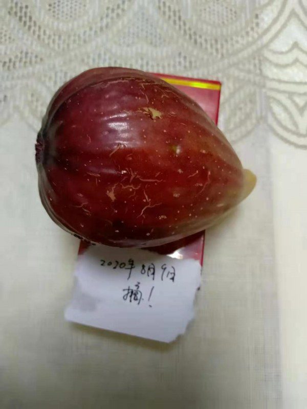 4.jpg