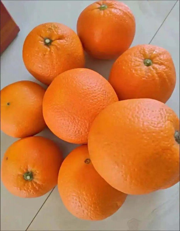 ΢ͼƬ_20210617105347.jpg