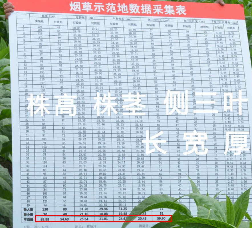 9.ʾĦ.jpg