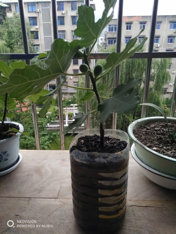 ΢��ͼƬ_20210626234829.jpg