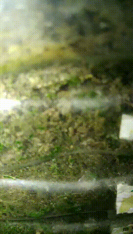 7aaee2f39fce7fe061c469b822225394 (2).gif