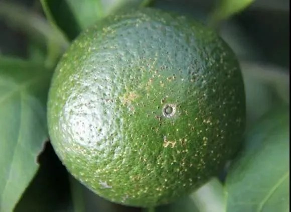 34.webp (1).jpg