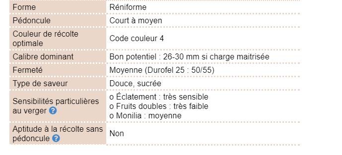 nimba2.jpg