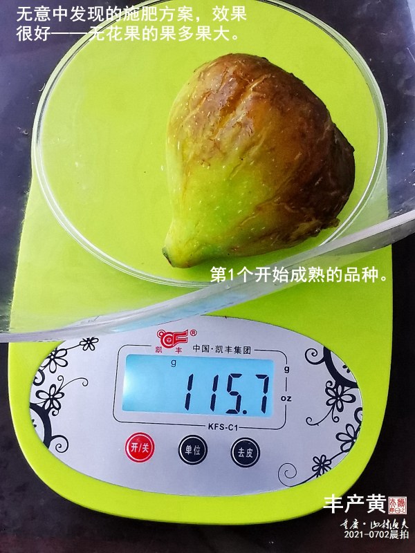 B002.jpg