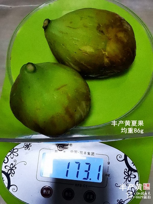B007.jpg