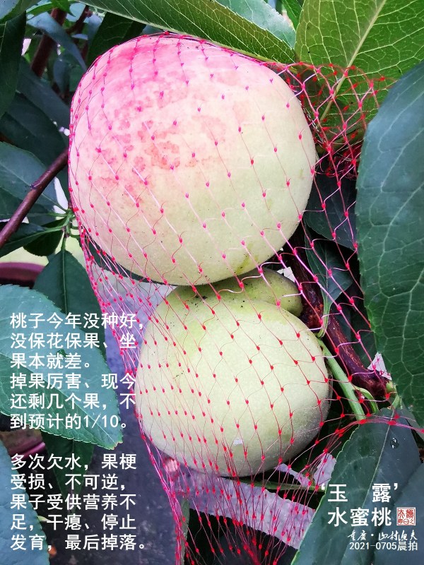 D003.jpg