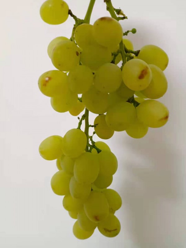 ΢ͼƬ_20210710160914.jpg