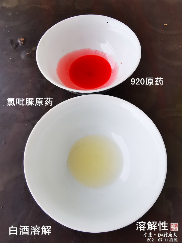 B01.jpg