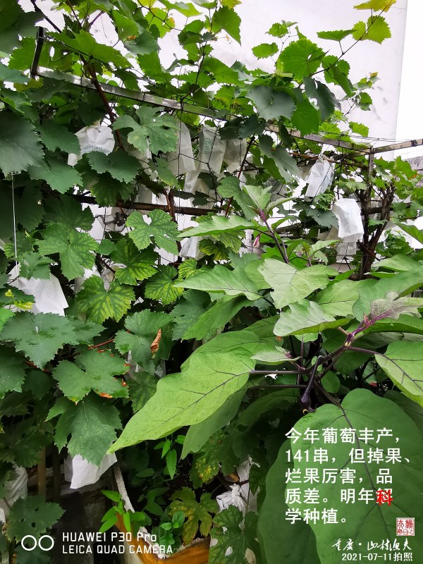 F01.jpg