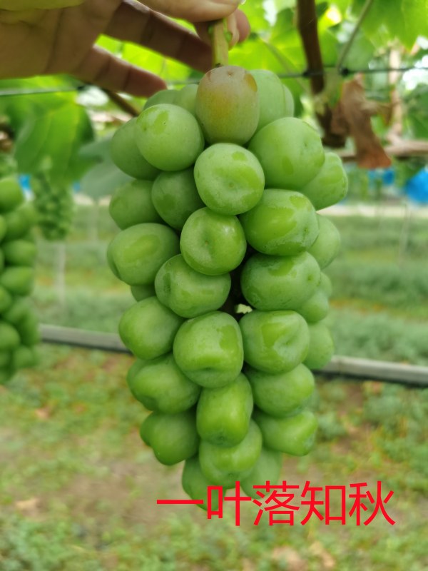 ΢ͼƬ_20210712153253.jpg