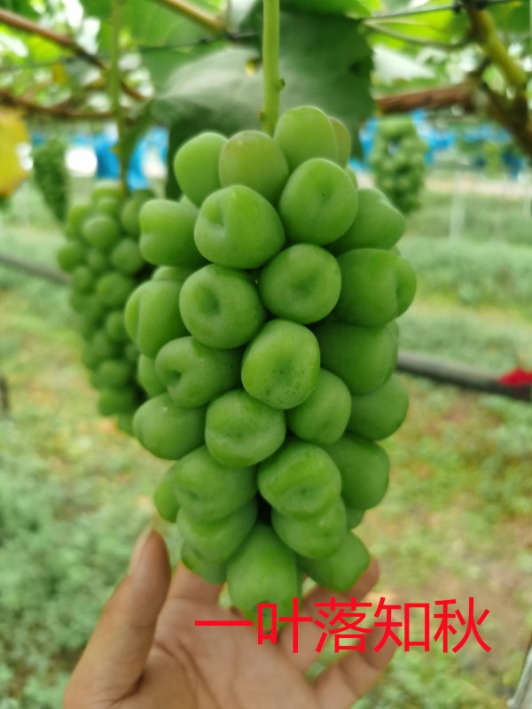 ΢ͼƬ_20210712153301.jpg