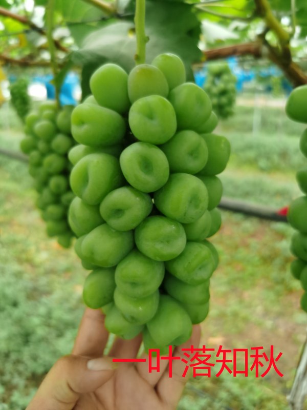 ΢ͼƬ_20210712153306.jpg