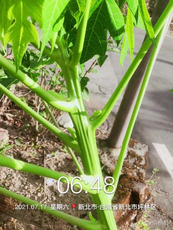 WeChat DƬ_20210722115213.jpg
