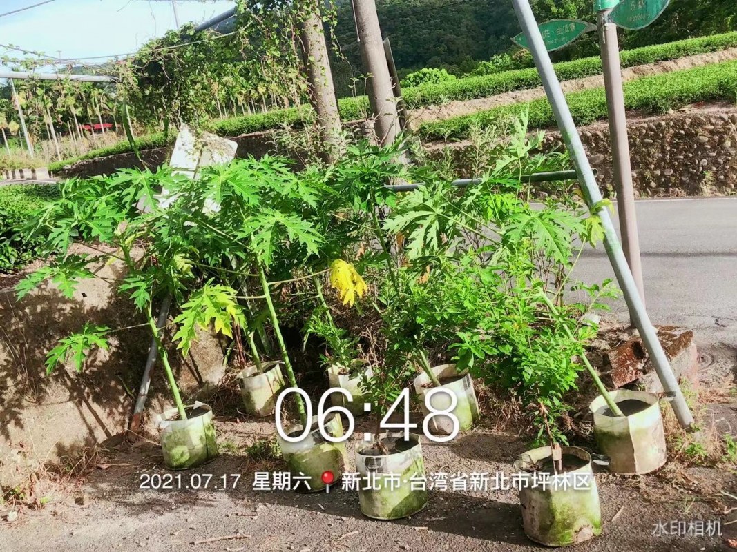 WeChat DƬ_20210722115223.jpg