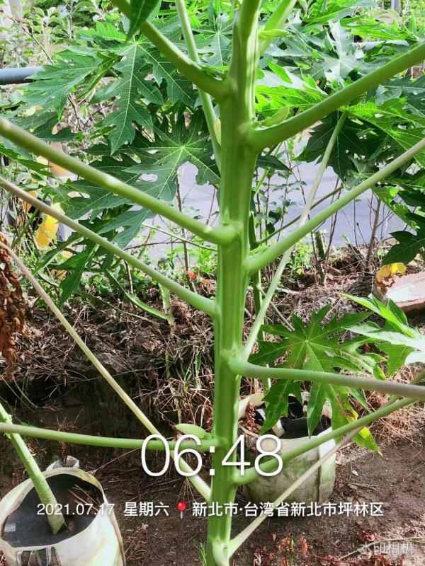 WeChat DƬ_20210722115219.jpg