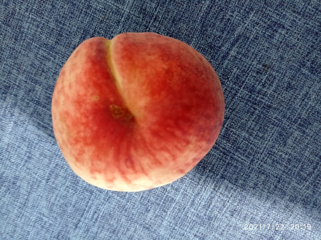 IMG_20210722_201909.jpg
