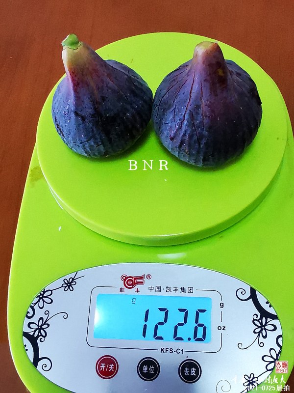 B02.jpg