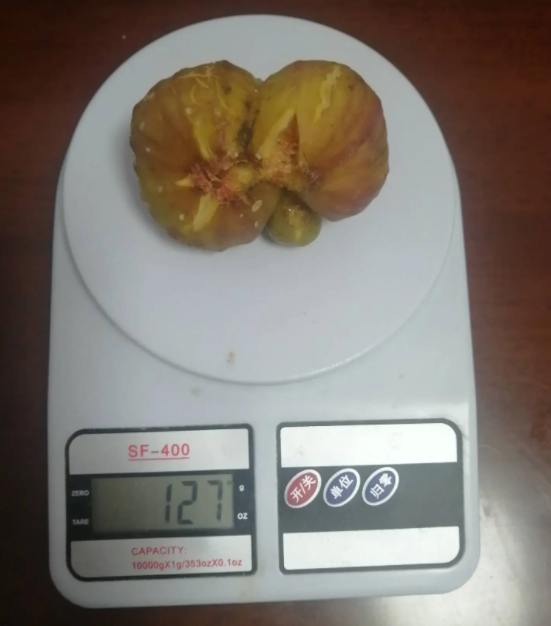 1627436420(1).png