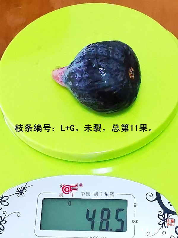 ΢ͼƬ_202108070938071.jpg