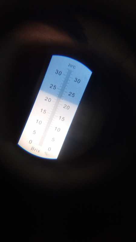 IMG_20210804_123115.jpg