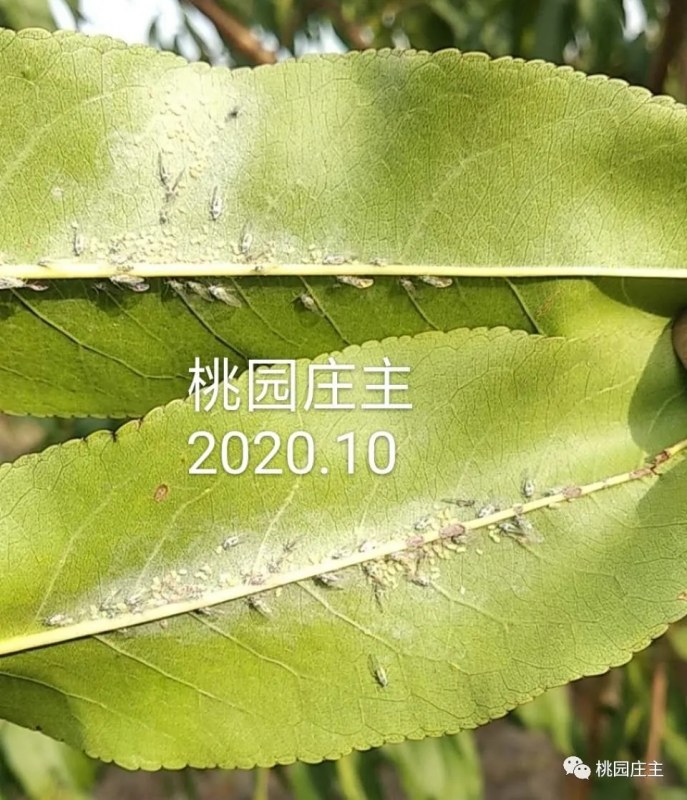 1.webp (8).jpg