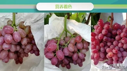 7.webp.jpg