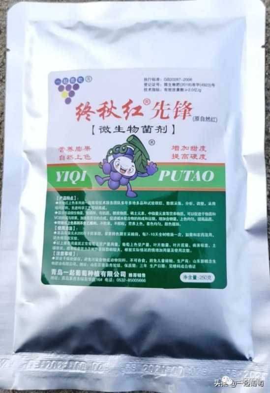 9.webp.jpg