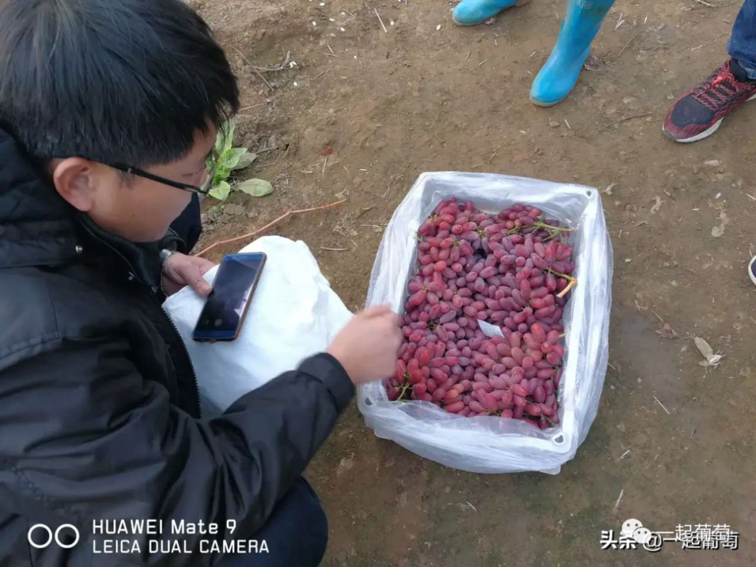 13.png