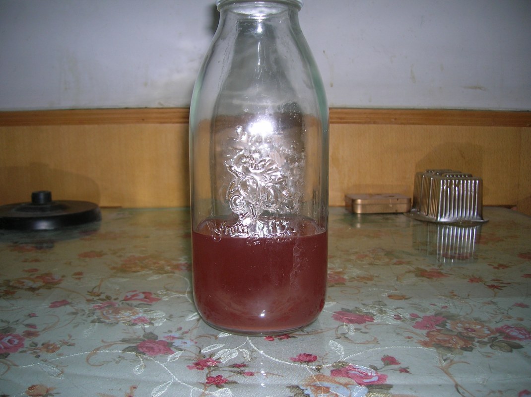 DSCN1717.JPG