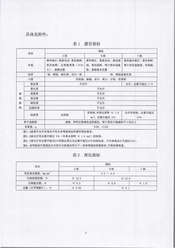 2.webp (2).jpg