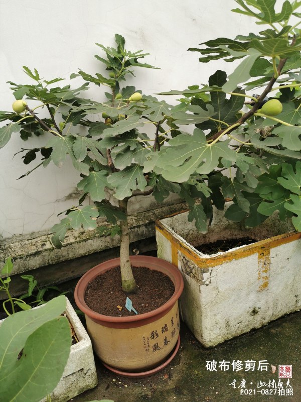 06.jpg