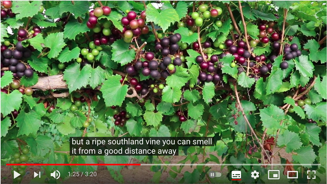 Southland_4.png