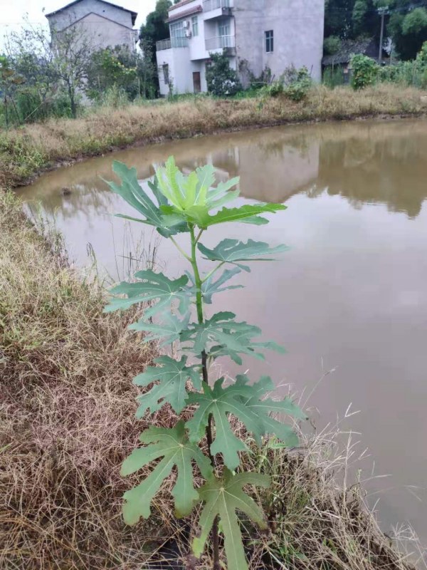 ΢ͼƬ_20210904123318.jpg
