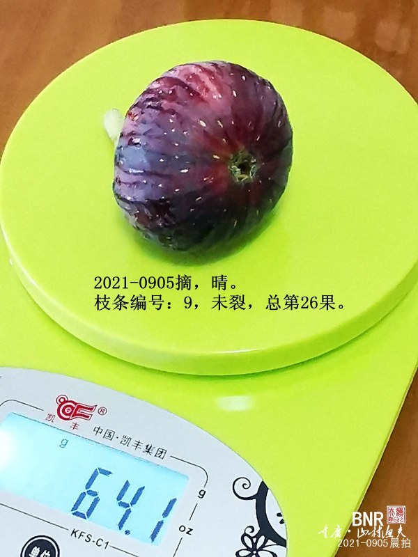 ΢ͼƬ_20210905100148.jpg