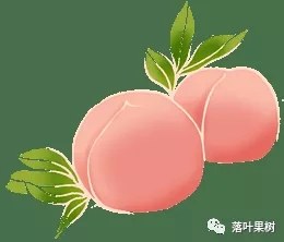 91.webp.jpg