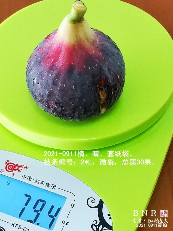 ΢ͼƬ_20210911101222.jpg