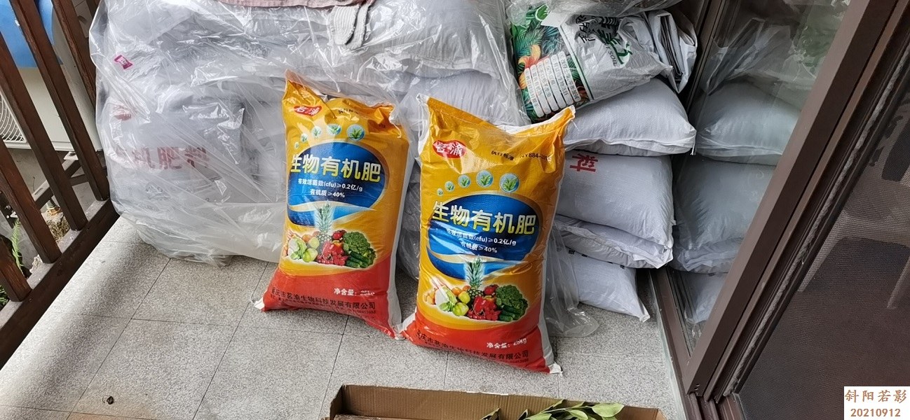 wx_camera_1617431323066a.jpg