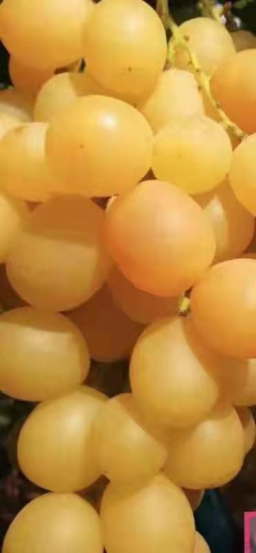 ΢ͼƬ_20210915211520.jpg